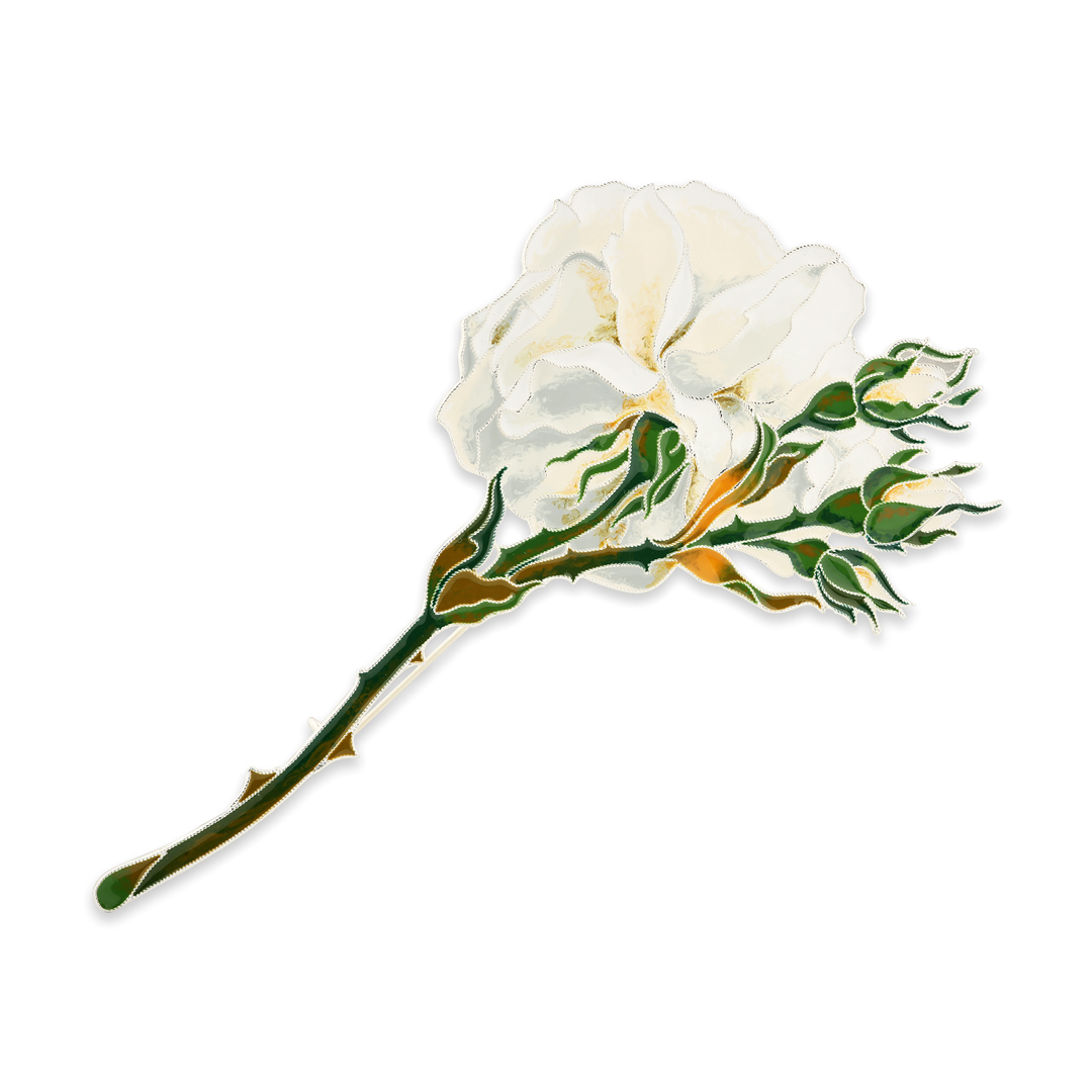 Брошь серебряная “Розы Зимнего Дворца” 41668
